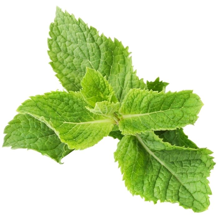Menta Bio, c&oacute;mo eliminar los granos con la rutina facial purificante Logona con menta